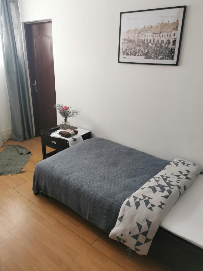 Casa De Oaspeti Wallendorf Bistrita Unirea Экстерьер фото